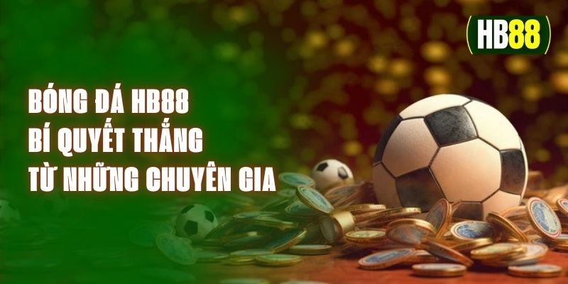 Bóng Đá HB88 - Bí Quyết Thắng Từ Những Chuyên Gia