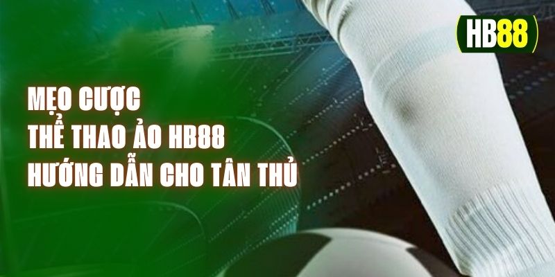 Mẹo Cược Thể Thao Ảo HB88 - Hướng Dẫn Cho Tân Thủ